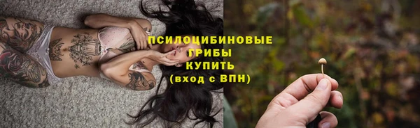 мет Аркадак