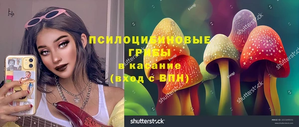 мет Аркадак