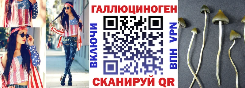Псилоцибиновые грибы MAGIC MUSHROOMS  blacksprut зеркало  shop состав  продажа наркотиков  Сысерть 